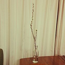 リビング/セリア/桃の木のインテリア実例 - 2016-03-01 01:00:09
