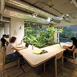 天井/ワークスペース/オフィス/植物のある部屋/遠藤照明...などのインテリア実例 - 2023-10-06 20:03:14