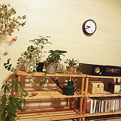 棚/観葉植物/ナチュラル/一人暮らし/カフェ風のインテリア実例 - 2017-05-31 10:21:30