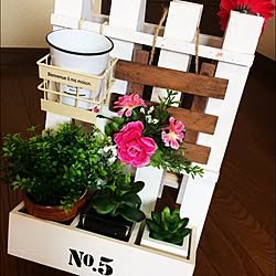 セリア/100均/DIY/ダイソー/観葉植物...などのインテリア実例 - 2015-09-16 22:50:34