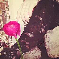 棚/お花のある暮らし/お花/ドリーミィ/ロマンチック...などのインテリア実例 - 2016-03-13 23:01:47