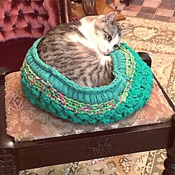 ベッド周り/NO CAT,NO LIFE❤️/ズパゲッティ/猫/猫ベッド手編みのインテリア実例 - 2017-05-09 21:36:45