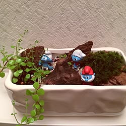 バス/トイレ/plants/DIY/ダイソーのインテリア実例 - 2015-04-04 21:57:44