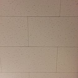 壁/天井/図工室感/学校の教室のインテリア実例 - 2017-01-16 22:30:26