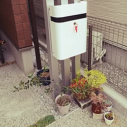 玄関/入り口/こどもと暮らす。/多肉寄せ植え/多肉植物/リメイク鉢...などのインテリア実例 - 2016-05-25 08:57:43