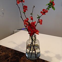机/木瓜の花のインテリア実例 - 2014-03-27 15:19:52