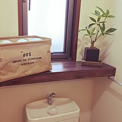 バス/トイレ/つっぱり棒棚/賃貸DIY/賃貸でも諦めない！/フェイクグリーン...などのインテリア実例 - 2016-12-05 12:01:43