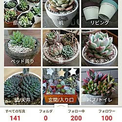 部屋全体/多肉植物/フォロワーさん100人♡感謝のインテリア実例 - 2017-03-10 07:02:05