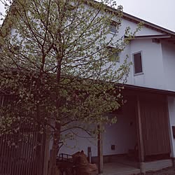 玄関/入り口/我が家/庭のインテリア実例 - 2015-04-10 09:57:25