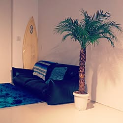 リビング/やしの木/椰子の木/surfboard/SURF!!...などのインテリア実例 - 2016-12-01 20:16:41