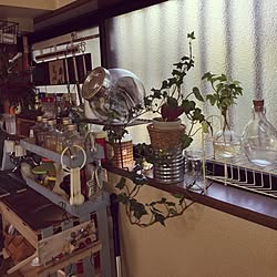 キッチン/観葉植物/雑貨/瓶/DIY...などのインテリア実例 - 2016-04-12 08:29:11