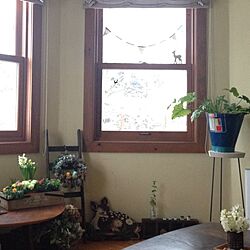 リビング/窓辺/植物/雑貨/観葉植物のインテリア実例 - 2014-02-08 16:07:25