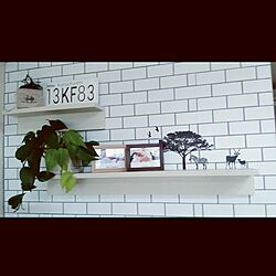 壁/天井/DIY/ウォールステッカー/seria/観葉植物...などのインテリア実例 - 2016-04-01 12:14:22
