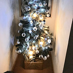 ワイン箱/クリスマスツリーのインテリア実例 - 2019-12-31 00:49:18