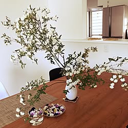 コデマリ/季節を感じる暮らし/季節の花/アクタスのテーブル/部屋全体のインテリア実例 - 2017-04-19 17:59:58