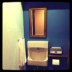 バス/トイレ/トイレのドアの前で撮影しただけです！/トイレ 鏡/マイナーチェンジ/トイレのインテリア実例 - 2014-03-12 20:22:24