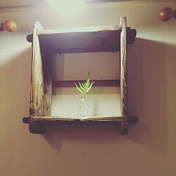 壁/天井/古道具/一輪挿し/植物のインテリア実例 - 2017-07-15 22:48:22