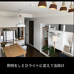 照明/虫除け対策/照明をＬＥＤに/新生活/壁/天井...などのインテリア実例 - 2021-02-25 20:21:10