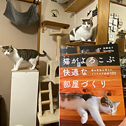 猫がよろこぶ快適な部屋づくり/誠文堂新光社/キャットタワー/猫用ハンモック/107ページ，139ページ...などのインテリア実例 - 2022-02-08 21:45:55