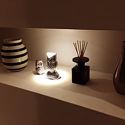 棚/CULTI ディフューザー アクタス/CULTI DECOR/アクタスの花瓶/アクタス小物...などのインテリア実例 - 2016-12-04 18:03:57