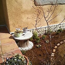 ガーデン/お庭づくりのインテリア実例 - 2014-03-04 11:48:33