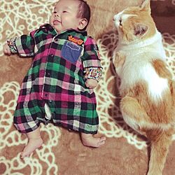 リビング/ラグ/赤ちゃんと猫のインテリア実例 - 2015-10-28 09:33:36