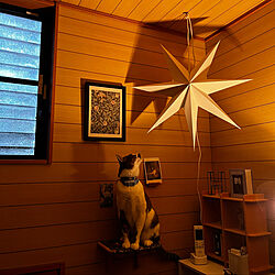yukarin-gardenさんモリス/IKEA星形ランプシェード/猫のいる風景/猫のいる暮らし/白キジのん...などのインテリア実例 - 2022-12-17 10:02:17