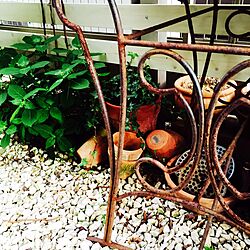 モスポット/さびさび好き♡/ガーデンテーブル/庭/ガーデン...などのインテリア実例 - 2015-04-22 12:07:04