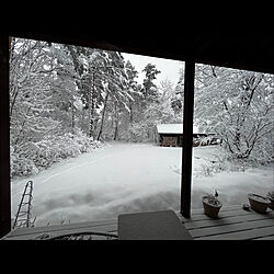 雪景色/季節を楽しむ/庭/雪/ガラス越しに見る...などのインテリア実例 - 2021-12-18 10:00:45
