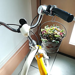 玄関/入り口/建売/こども自転車/多肉植物/寄せ植え...などのインテリア実例 - 2020-02-07 23:05:18