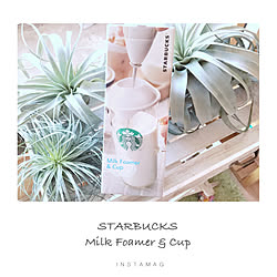 机/新商品じゃないけど買ったよ！/Milk Foamer & Cup/スターバックス/スタバ...などのインテリア実例 - 2018-09-28 10:53:49