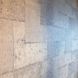 コンクリート柄壁紙/壁紙/壁/天井のインテリア実例 - 2021-08-07 12:38:24