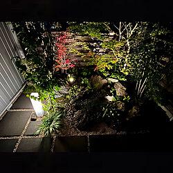 夜の風景/坪庭/ライトアップされた庭/雑木林風の庭/夜の庭...などのインテリア実例 - 2022-09-20 06:04:46