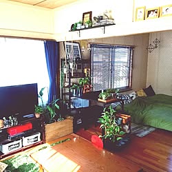 部屋全体/RC秋田支部/NO GREEN NO LIFE/植物欲が止まらない/和室を洋室に！...などのインテリア実例 - 2016-07-22 20:05:46