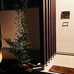 玄関/入り口/シンボルツリーのインテリア実例 - 2016-05-22 20:36:45