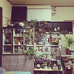 部屋全体/多肉植物/観葉植物/ハンドメイド/DIY...などのインテリア実例 - 2016-04-21 07:02:01