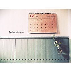 バス/トイレ/カレンダー/電球花瓶/板壁DIY/しただけ...などのインテリア実例 - 2014-12-06 11:18:37