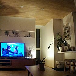 壁/天井/ニトリの照明/IKEA/間接照明/観葉植物　...などのインテリア実例 - 2017-03-04 22:26:09