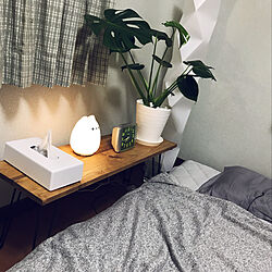 観葉植物/DIY/ベッド周りのインテリア実例 - 2019-07-20 01:07:59