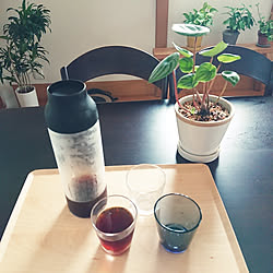 キッチン/いいね&フォローありがとうございます☆/夏ドリンク/観葉植物のある暮らし/水だしコーヒーボトルのインテリア実例 - 2020-07-26 09:26:02