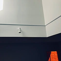 壁/天井/漆喰の壁のインテリア実例 - 2018-12-26 12:18:51