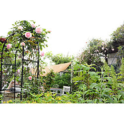 薔薇/ターシャの庭に憧れて/玄関/入り口のインテリア実例 - 2020-05-19 07:03:46