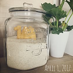 キッチン/観葉植物/ナチュラル/カフェ風/雑貨のインテリア実例 - 2017-04-01 15:06:52