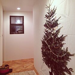 玄関/入り口/クリスマスツリー/クリスマスのインテリア実例 - 2013-11-26 21:53:58