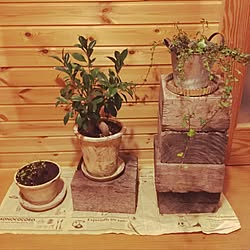 玄関/入り口/北欧/ナチュラル/観葉植物/コメントはしゃぎます♥︎...などのインテリア実例 - 2017-03-18 19:31:56