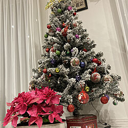 クリスマスツリー/クリスマスツリー150cm/カフェ風インテリア/安くて良いもの/くつろげる部屋作り...などのインテリア実例 - 2021-12-18 21:08:02
