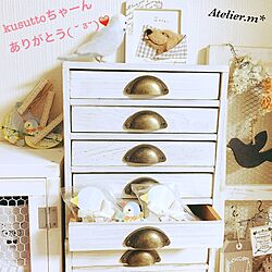 棚/kusuttoちゃんの羊毛作品/まめちゃん❤️/kusuttoちゃんの作品/素敵な素敵な贈り物❤️...などのインテリア実例 - 2017-04-21 18:42:25