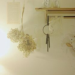 壁/天井/雑貨/木のインテリア実例 - 2013-07-03 16:19:14