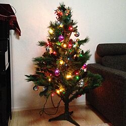 リビング/クリスマスツリー120cm/シンプルモダン/一階リビングのインテリア実例 - 2014-11-17 17:48:14
