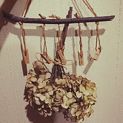 玄関/入り口/植物/ハンドメイド/ドライ紫陽花/小学校時代夏休みの工作のインテリア実例 - 2014-04-17 21:36:06